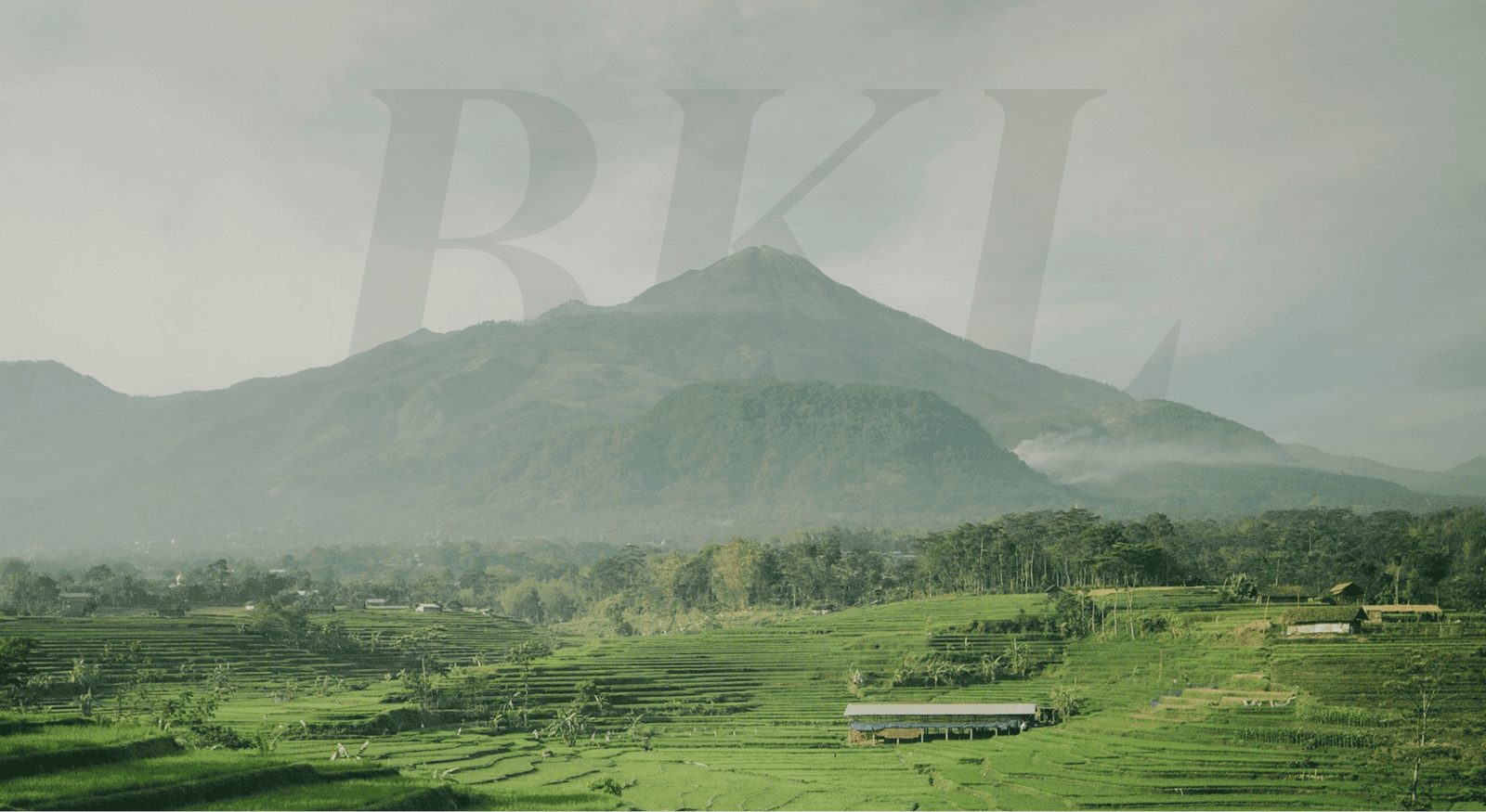 Lush landscape